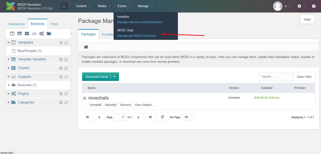 Reve Chat Integration with MODX: Step 9